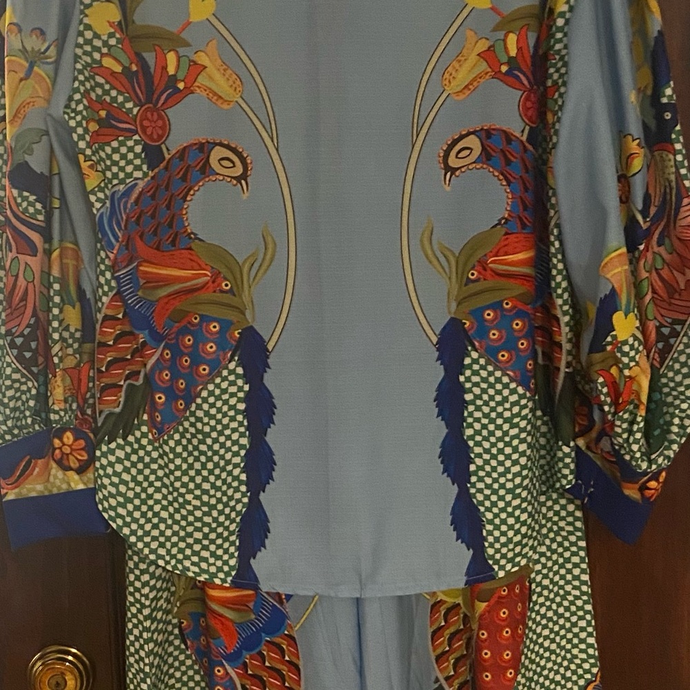 Colorful Parrot Print Blouse and pant suit - Picture 5 of 5
